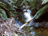 Plastic dam remains